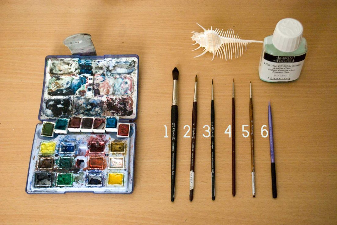 An artist desk with a watercolour palette, an array of paint brushes, masking fluid and a murex shell.