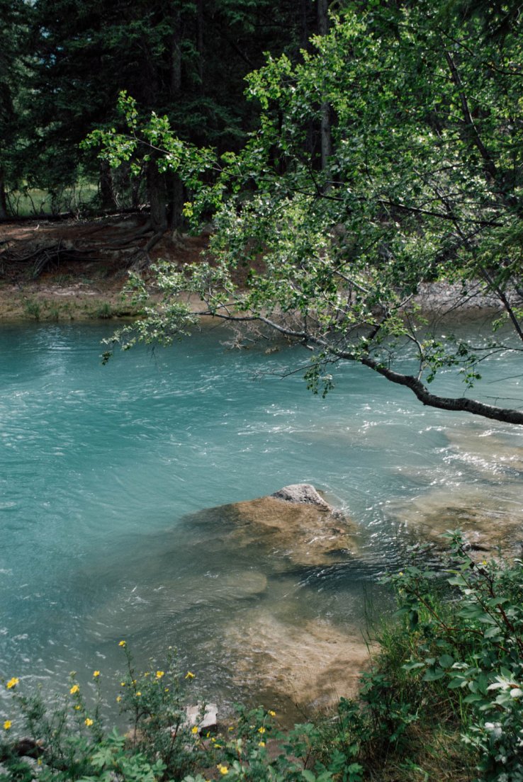 Turquoise waters of a river