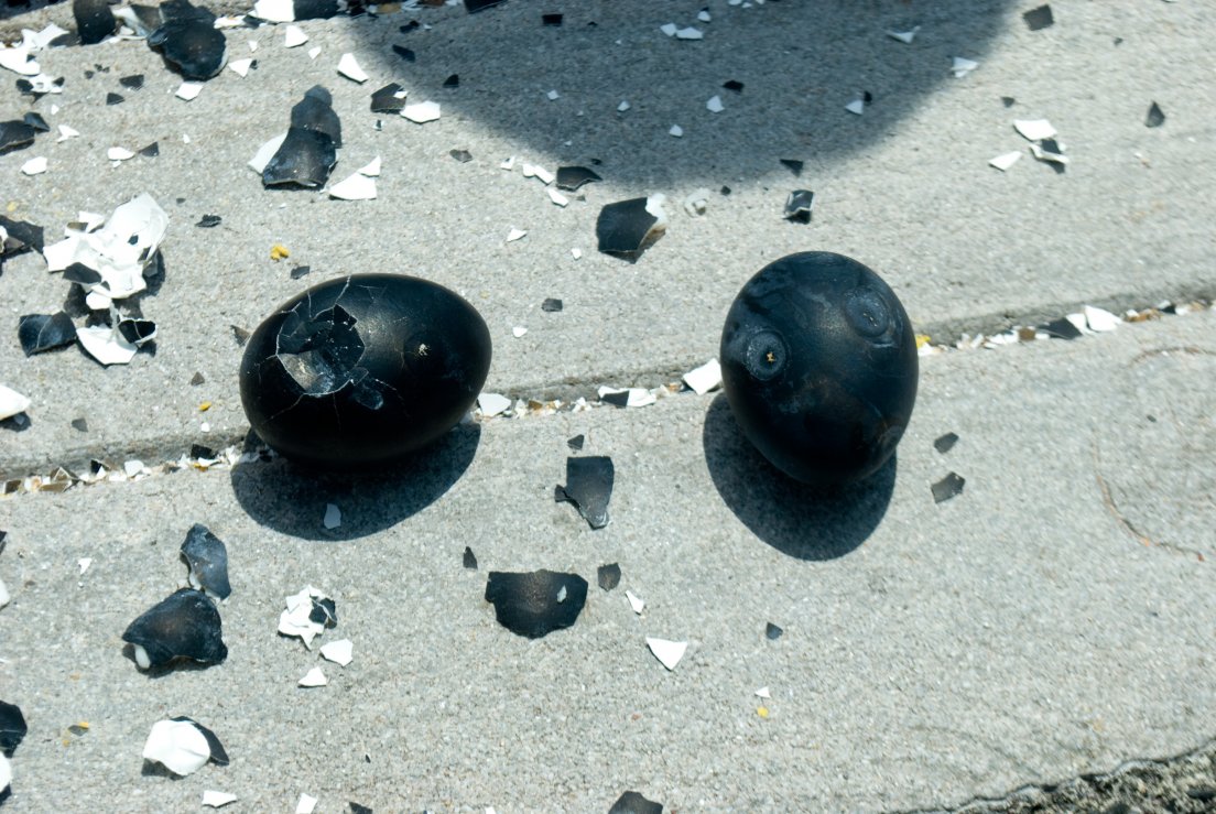 Black eggs boiled in volcanic waters, Hakone #049, 10 août 2011