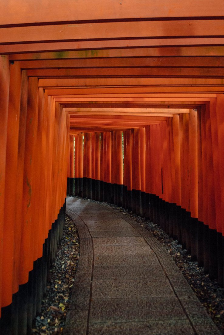 Alley of torii