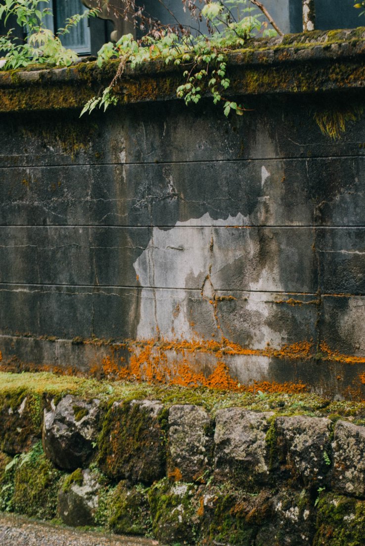 Wall with orange moss