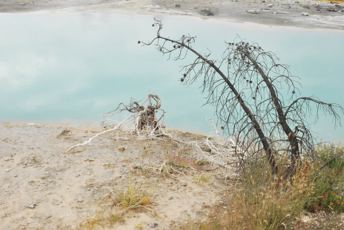 Small dead branchs in front of a turquoise milky pool