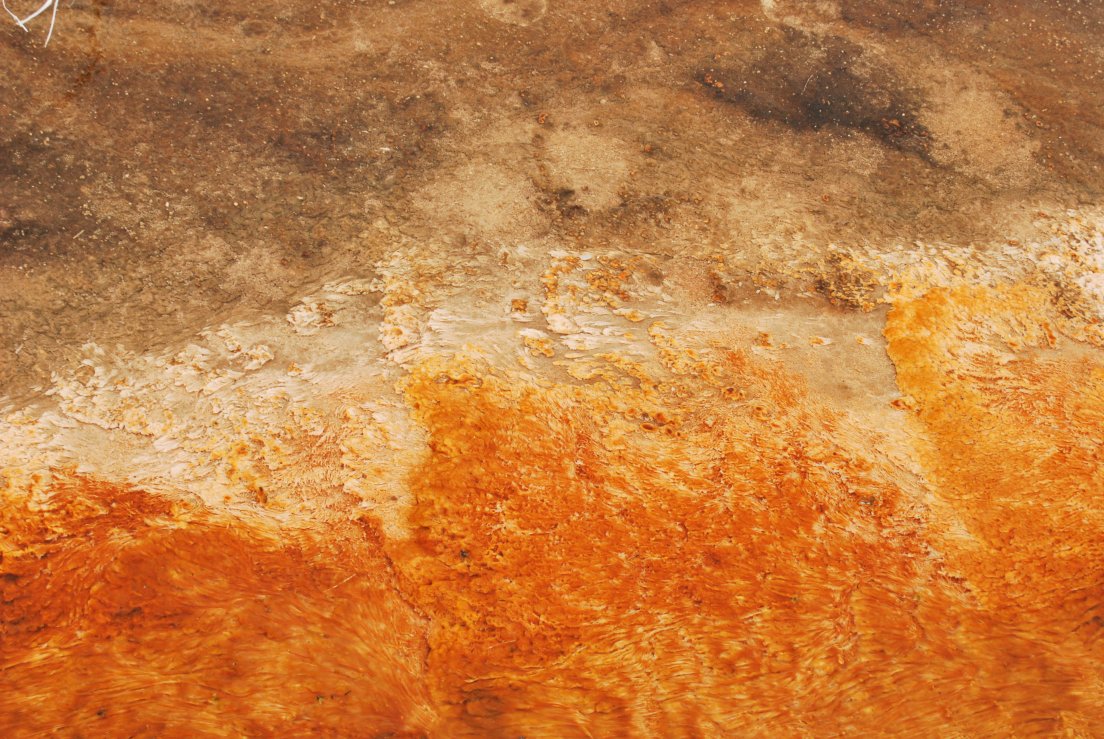 Striking orange texture detail