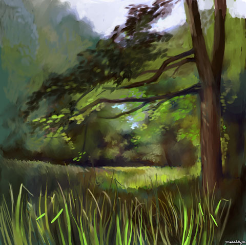 foret06-07.jpg, déc. 2009