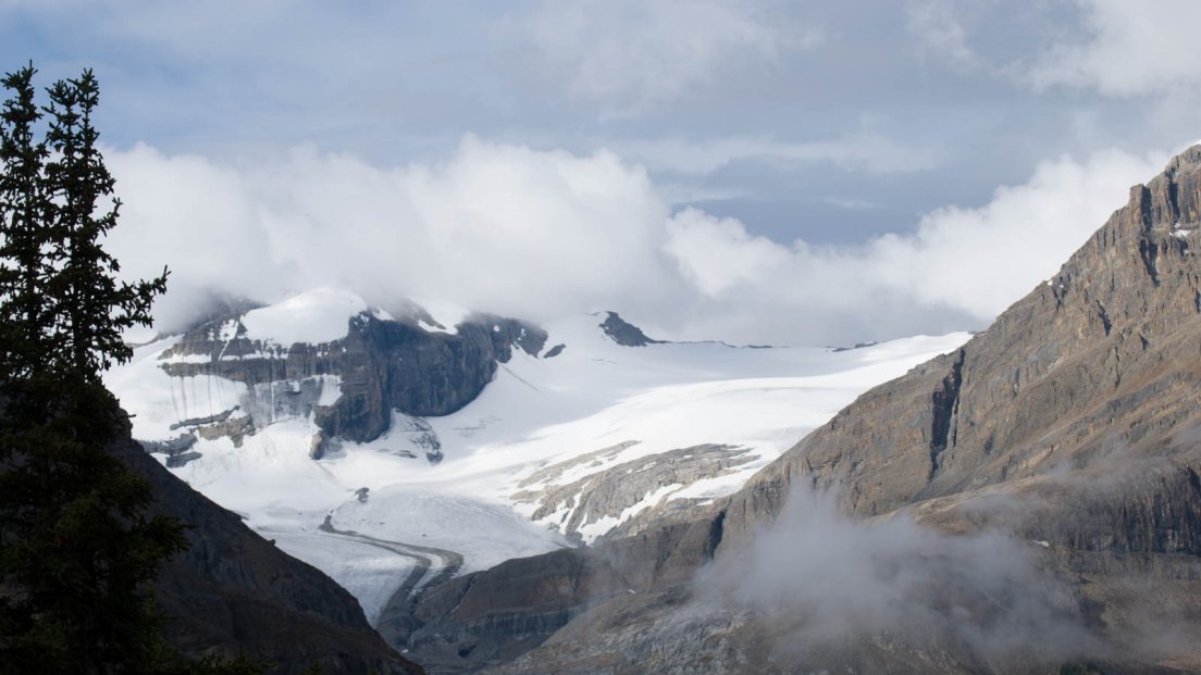 Bow glacier seen from Peyto Lake, Icefields parkway between Banff National Park and Jasper National Park #063, 31 july 2016 Bow glacier seen from Peyto Lake