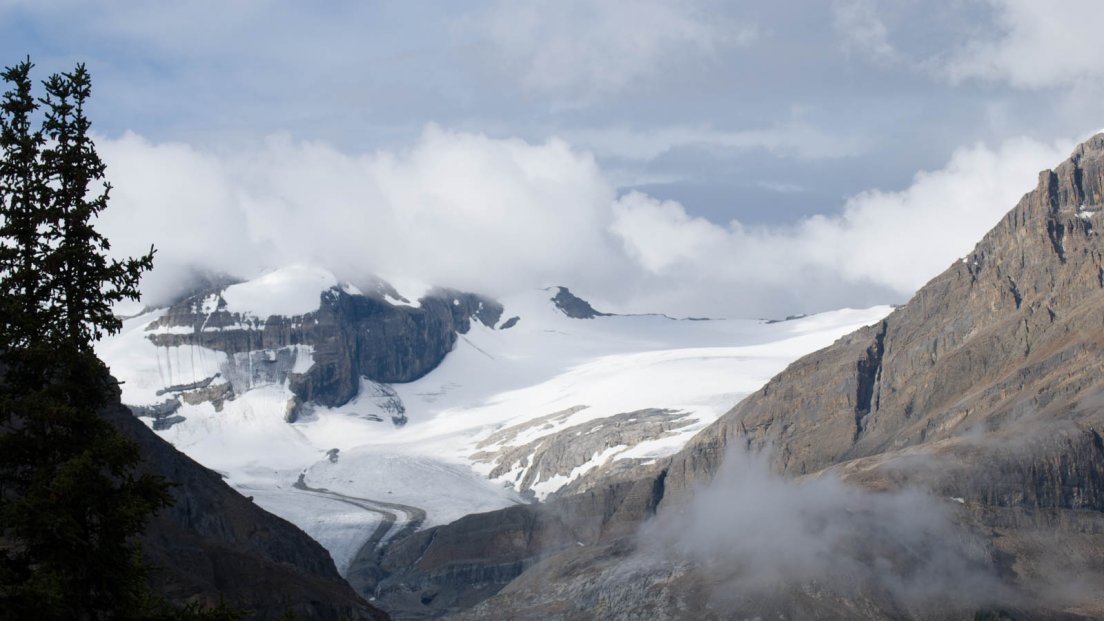 Bow glacier seen from Peyto Lake