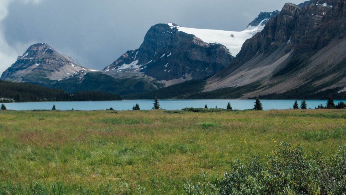 Bow Lake and a meadow on a cloudy afternoon