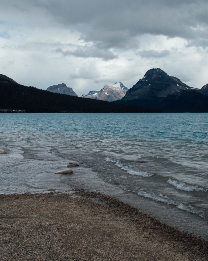 Shore of Bow Lake on a cloudy afternoon, Icefields parkway between Banff National Park and Jasper National Park #200, 31 july 2016 Shore of Bow Lake on a cloudy afternoon