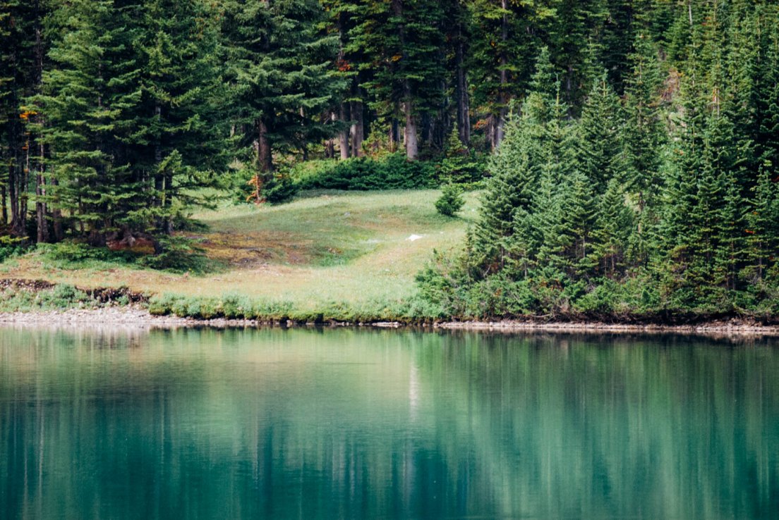 Turquoise waters of Bourgeau Lake reflecting the forest and the bank