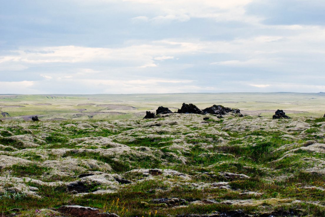 Mossy landscape typical of Iceland