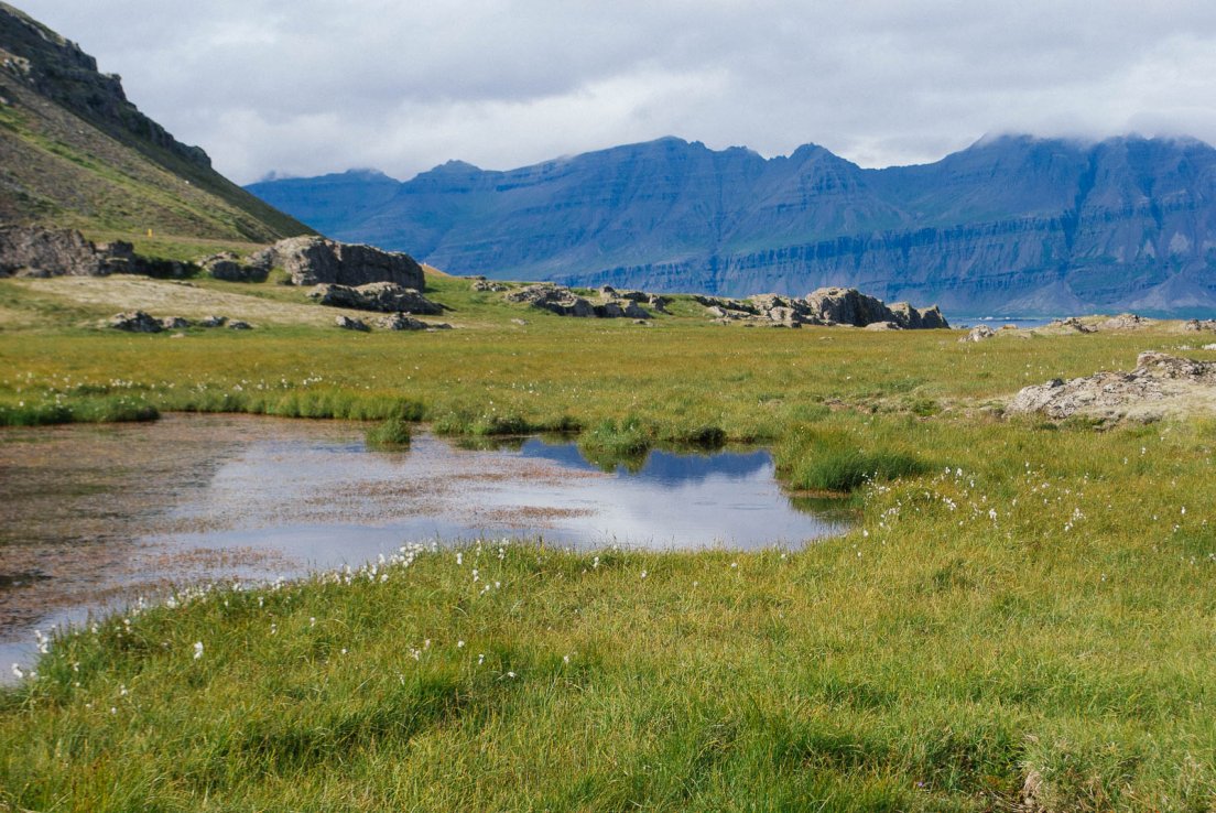Meadows and pools, East fjords #007, Iceland, 1st august 2017 Meadows and pools