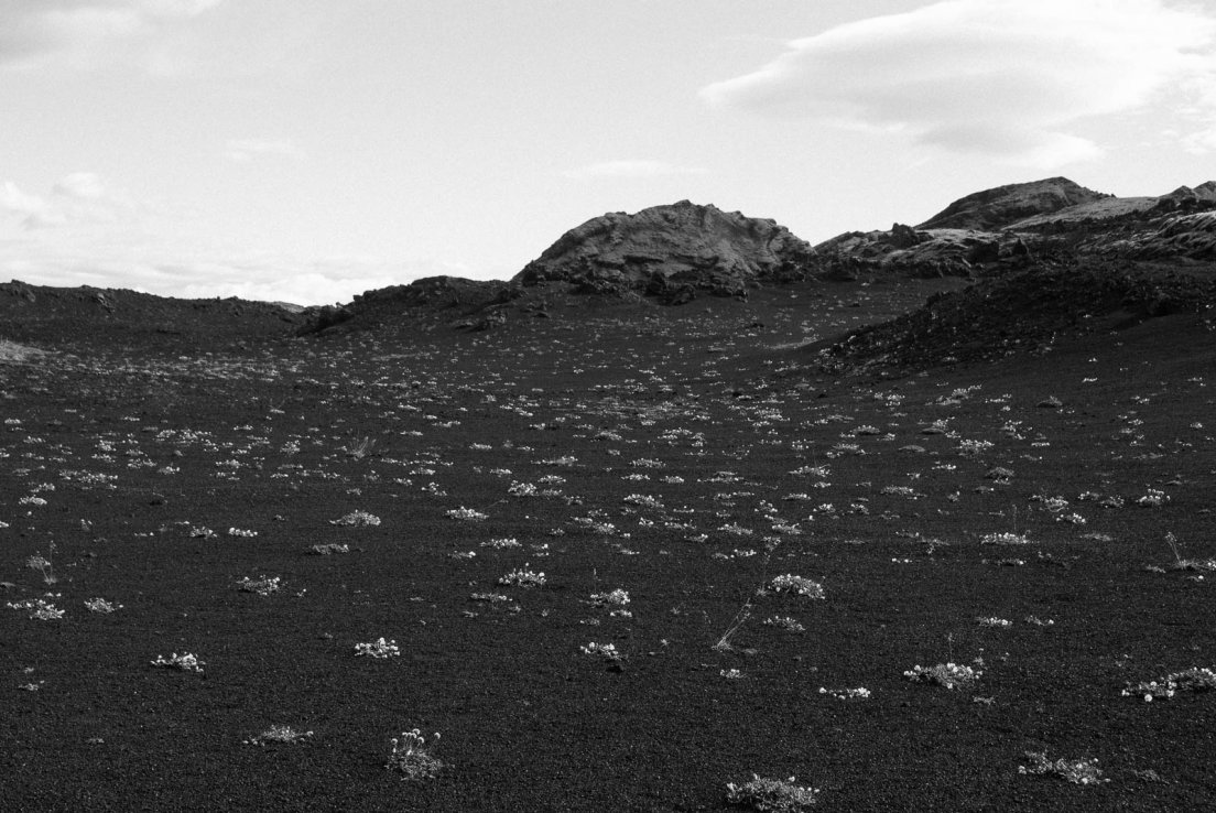 Black and white photograph of the ash desert