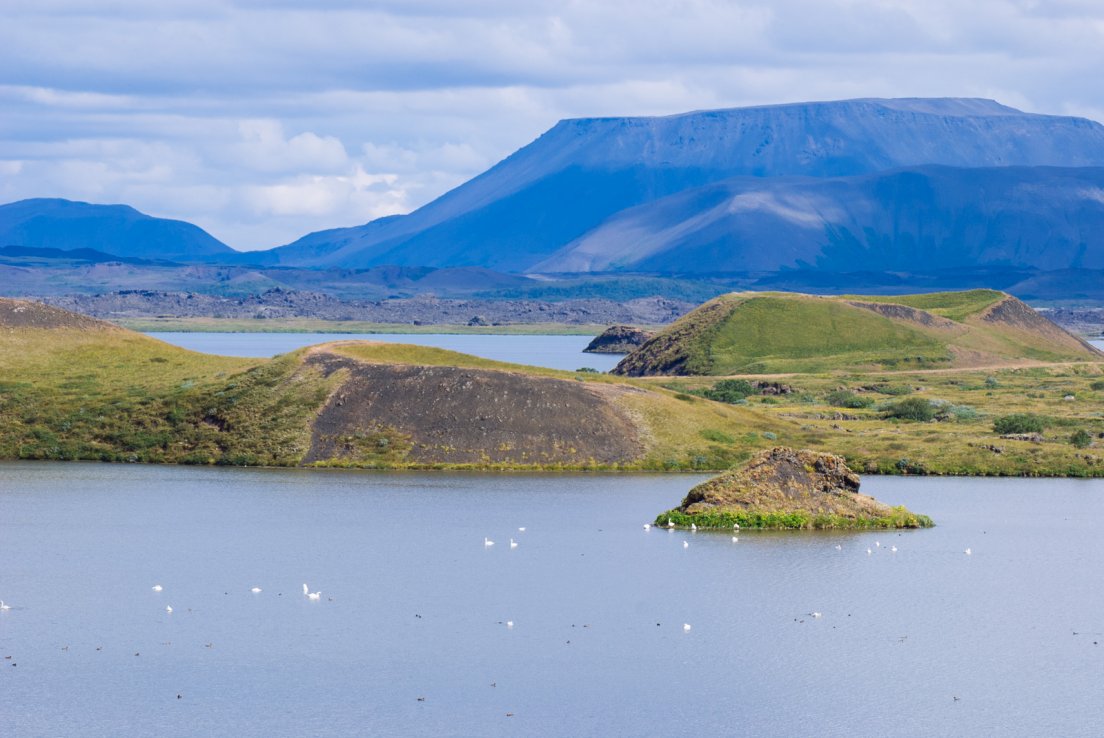 Wetlands of Mývatn area