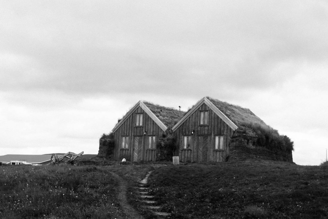 Black and white photograph of two adjoint houses with grass roofs