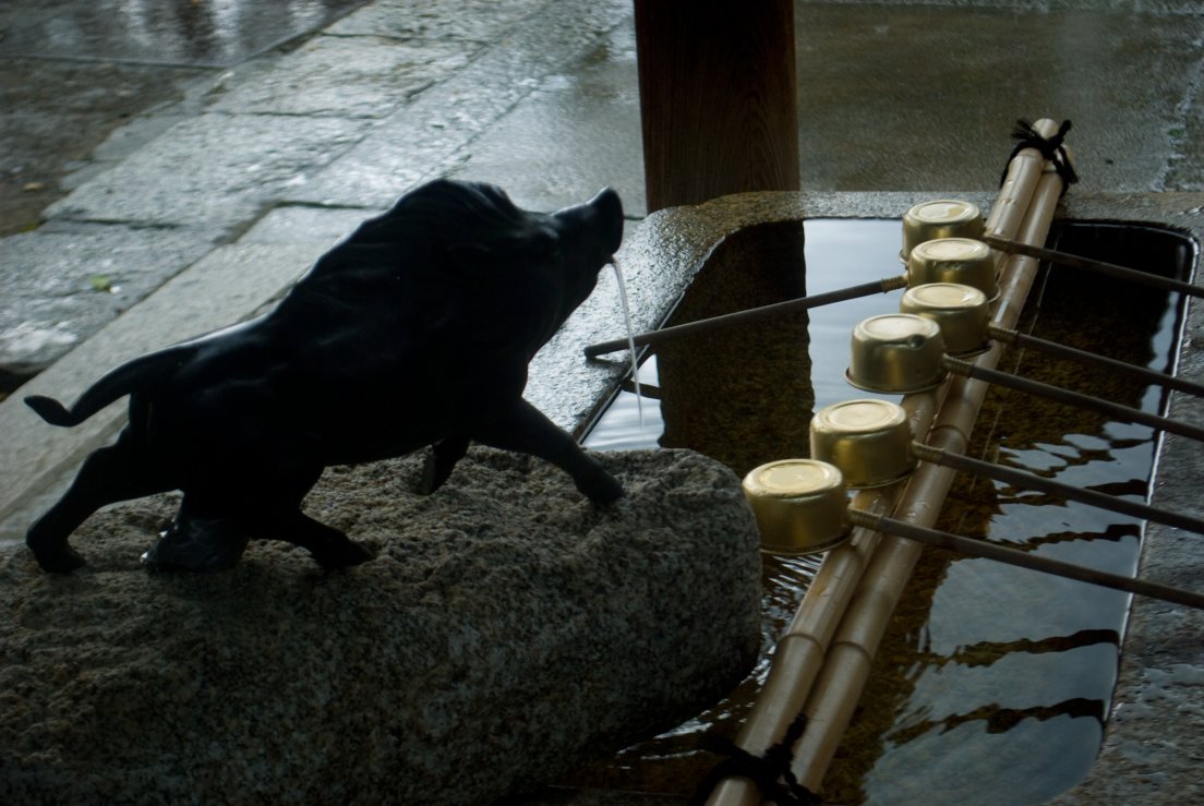 kyoto3007_054.jpg, juillet 2011