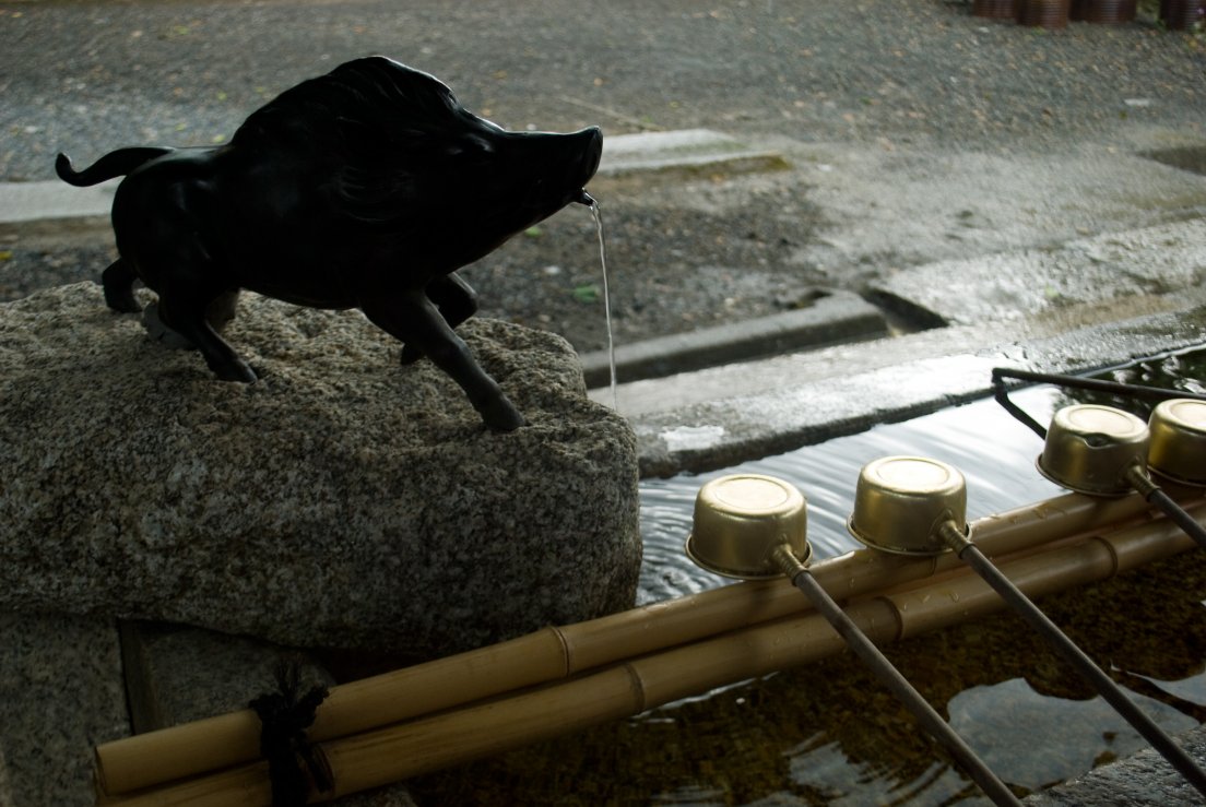 kyoto3007_064.jpg, juillet 2011