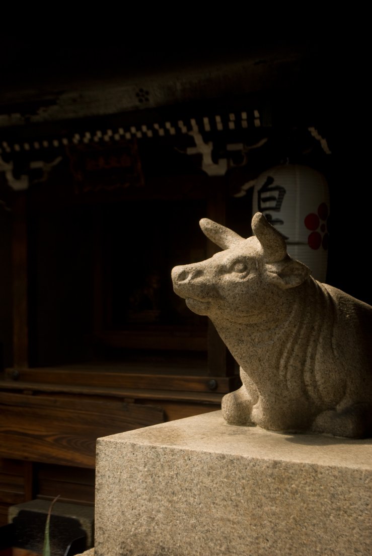 kyoto3007_107.jpg, juillet 2011