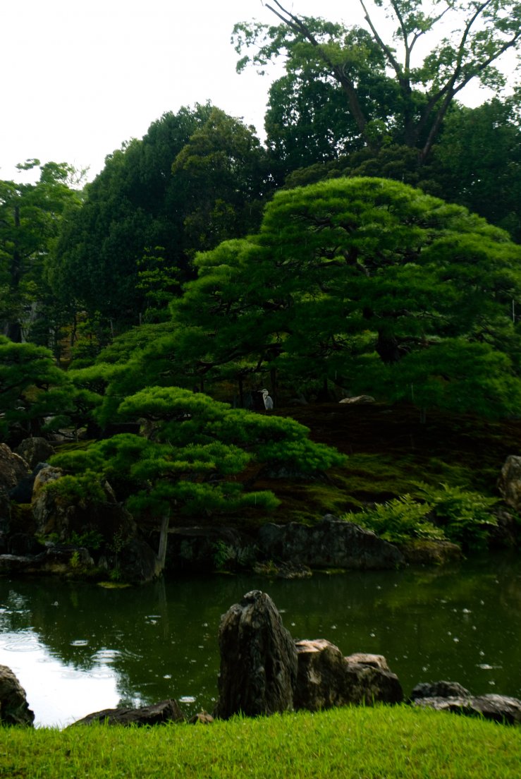 kyoto3107_012.jpg, juillet 2011