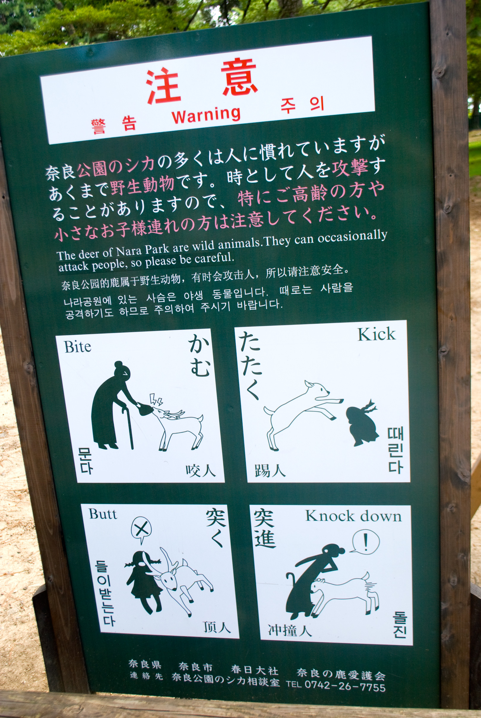 nara0408_005.jpg