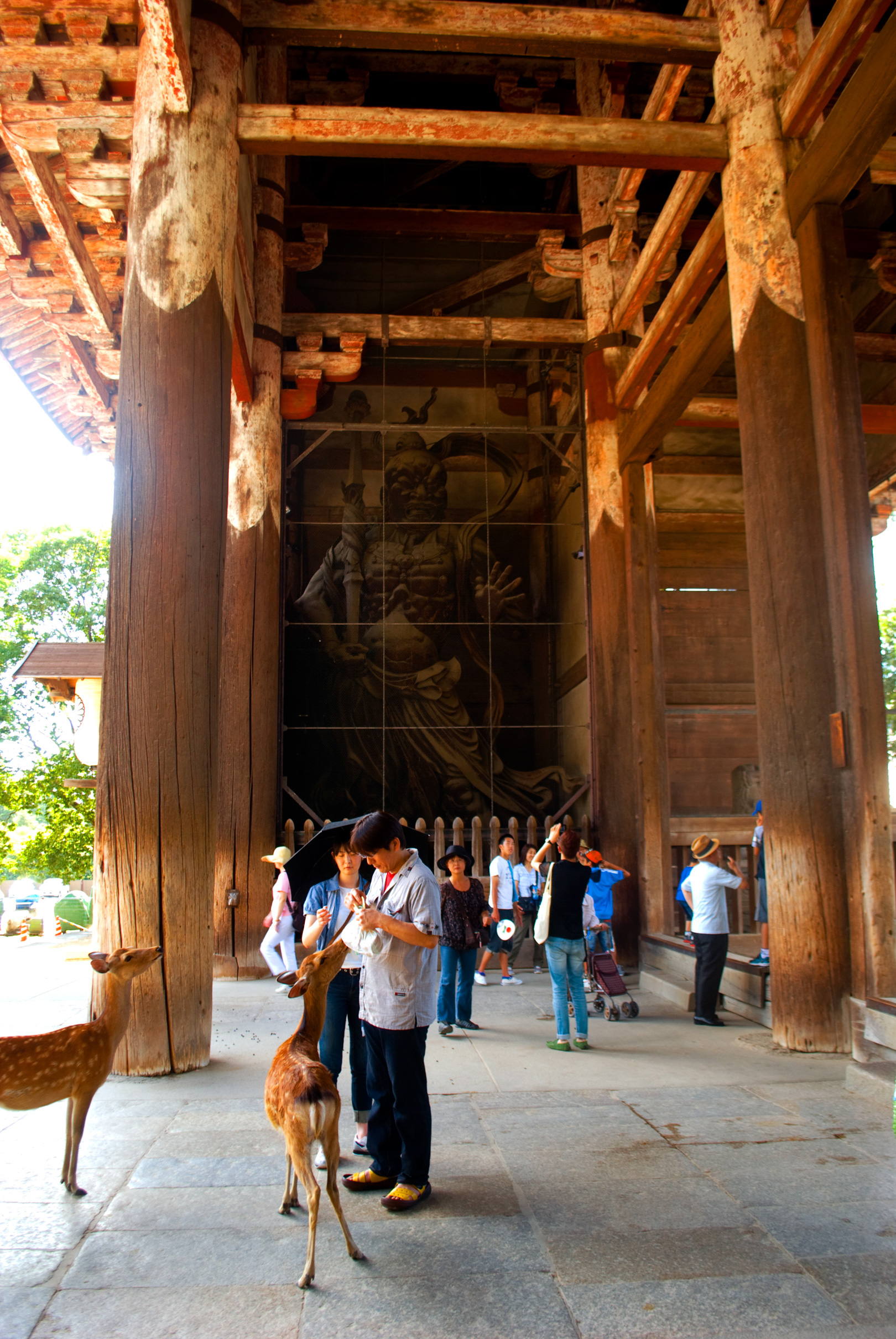 nara0408_018.jpg, août 2011