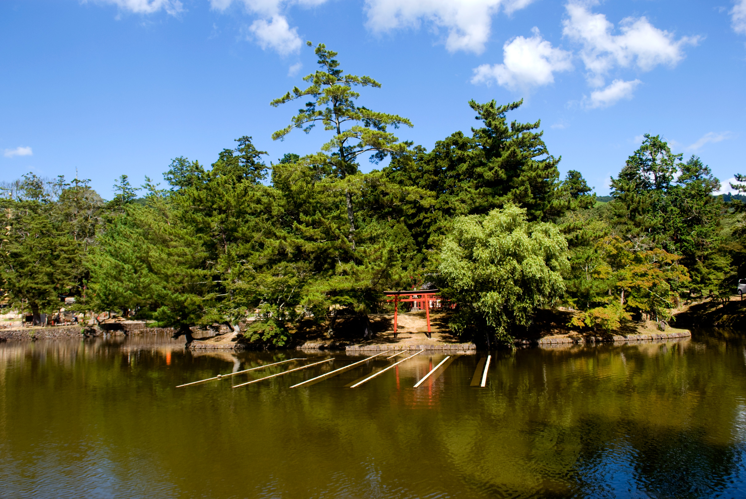 nara0408_022.jpg, août 2011