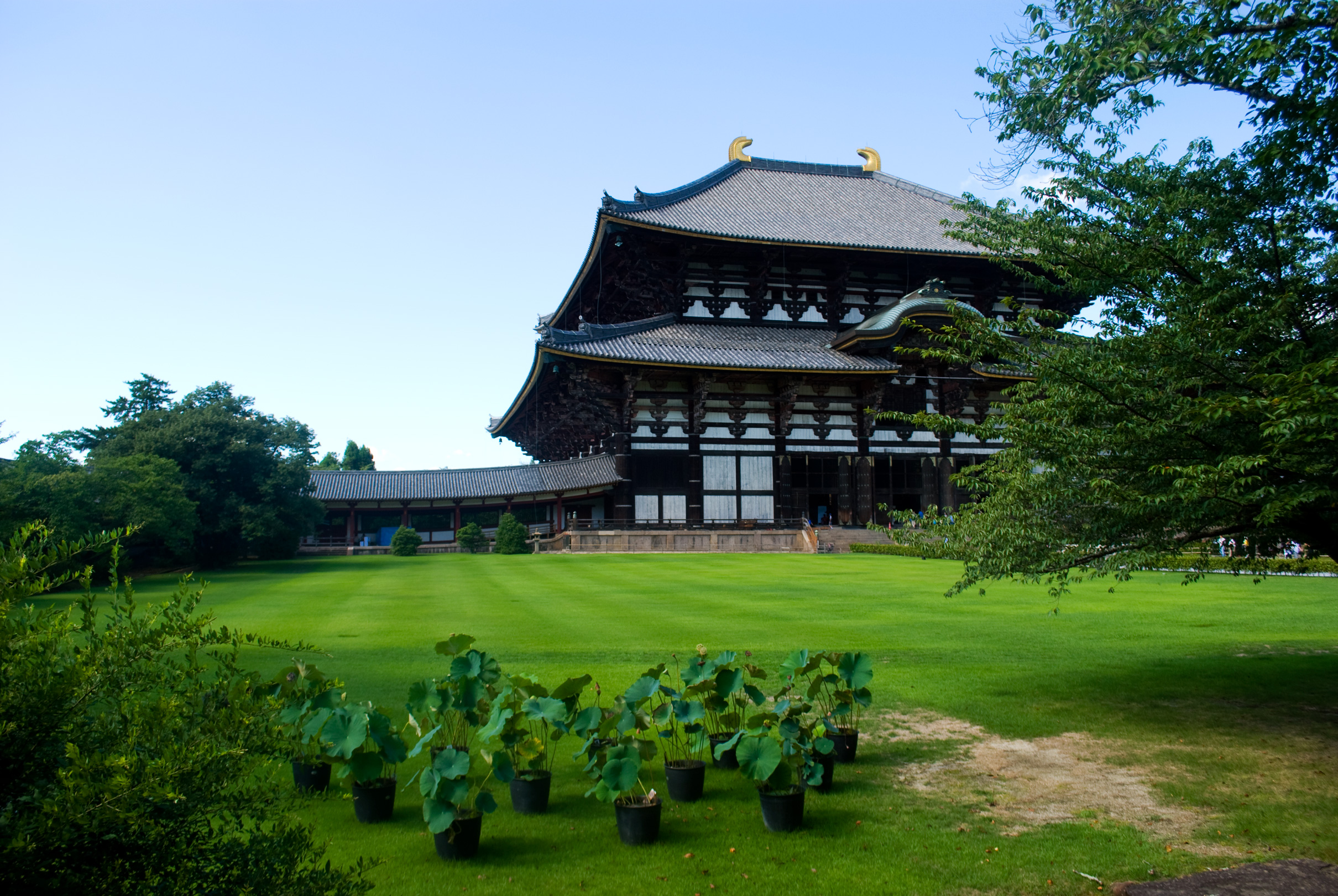 nara0408_047.jpg, août 2011
