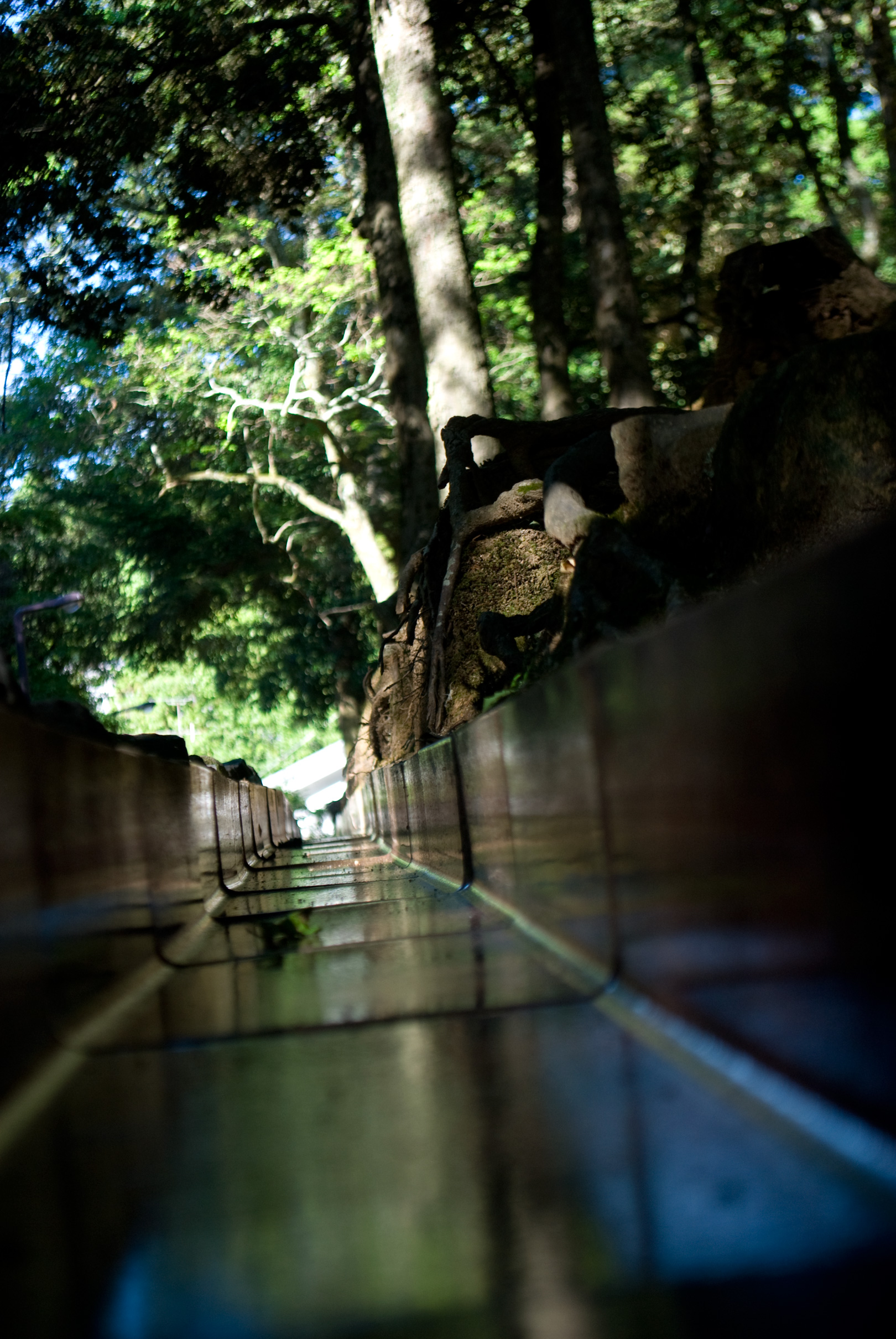 nara0408_093.jpg, août 2011