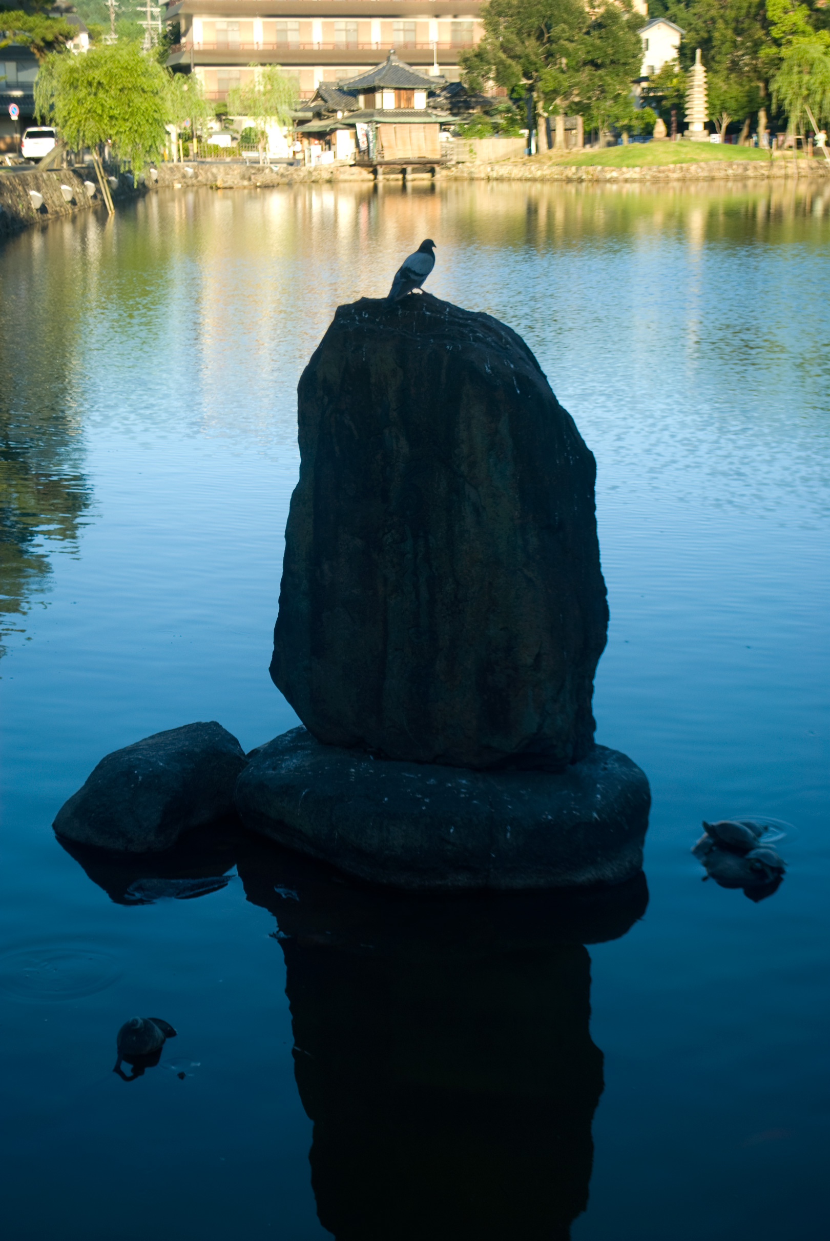 nara0408_169.jpg, août 2011