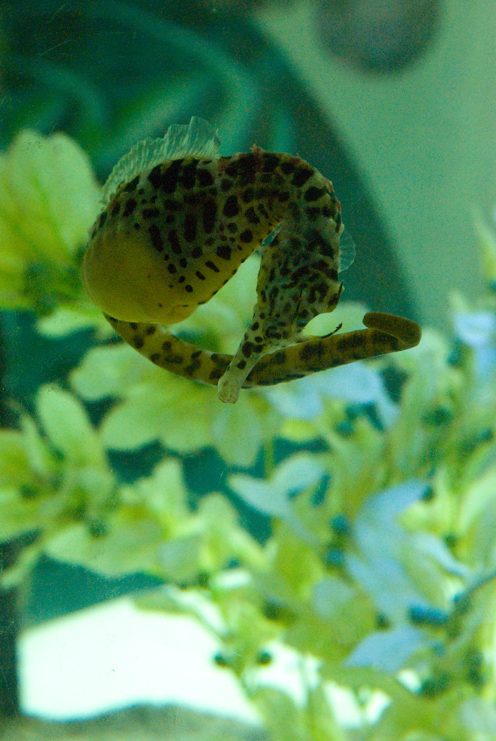 osaka0608_183.jpg, 6 août 2011