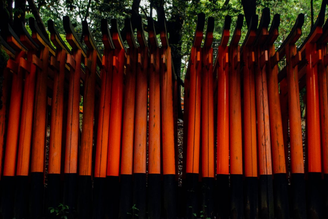 The famous rows of torii very close to each other