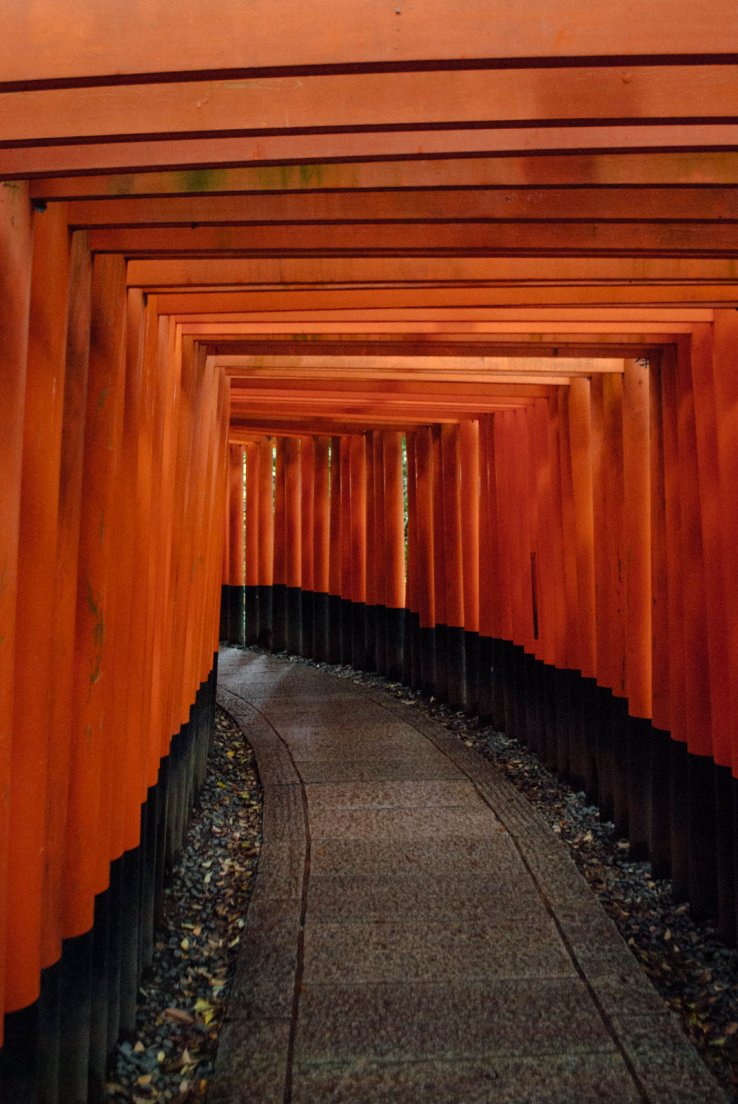 Alley of torii, Ascension du Fushimi Inari #006, 11 may 2016 Alley of torii