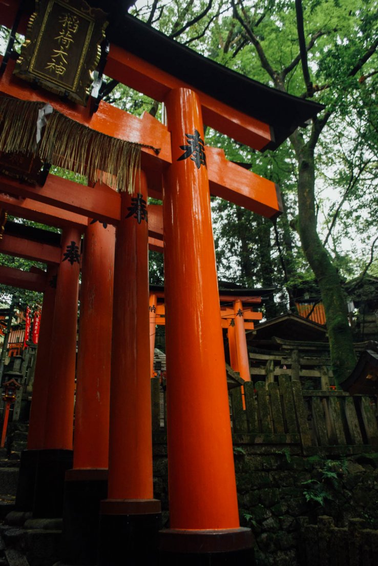 Climbing the torii alley, Ascension du Fushimi Inari #010, 11 may 2016 Climbing the torii alley
