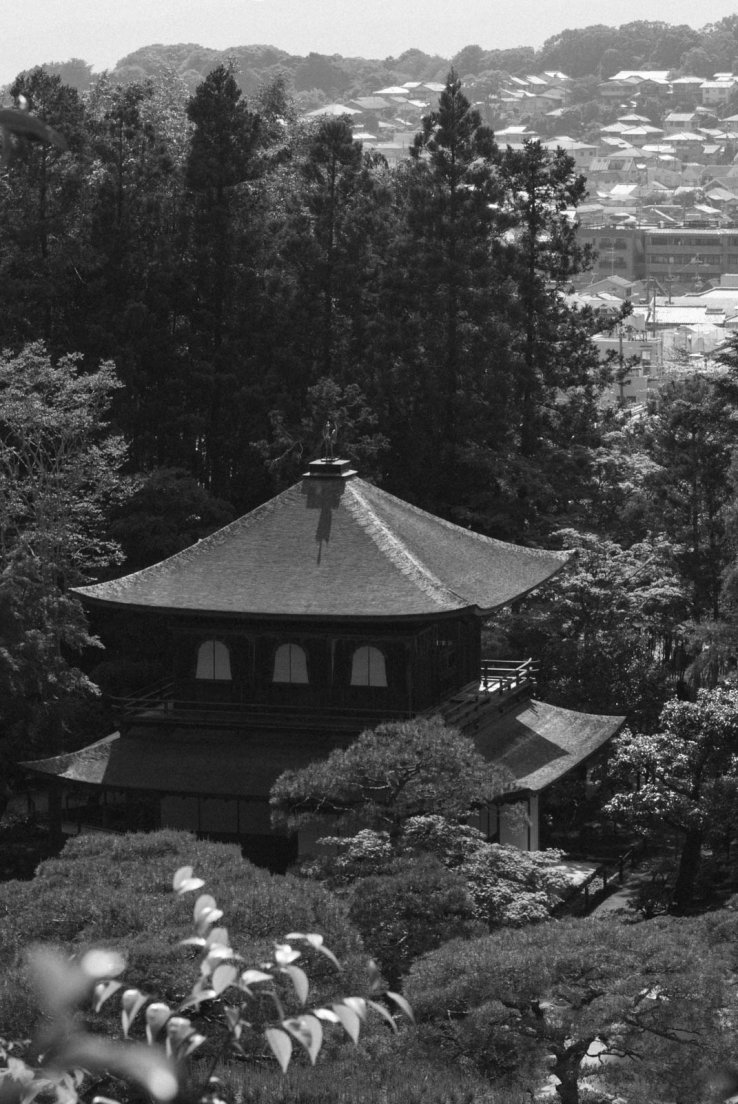 Black and white photograph of the rooftop of the temple