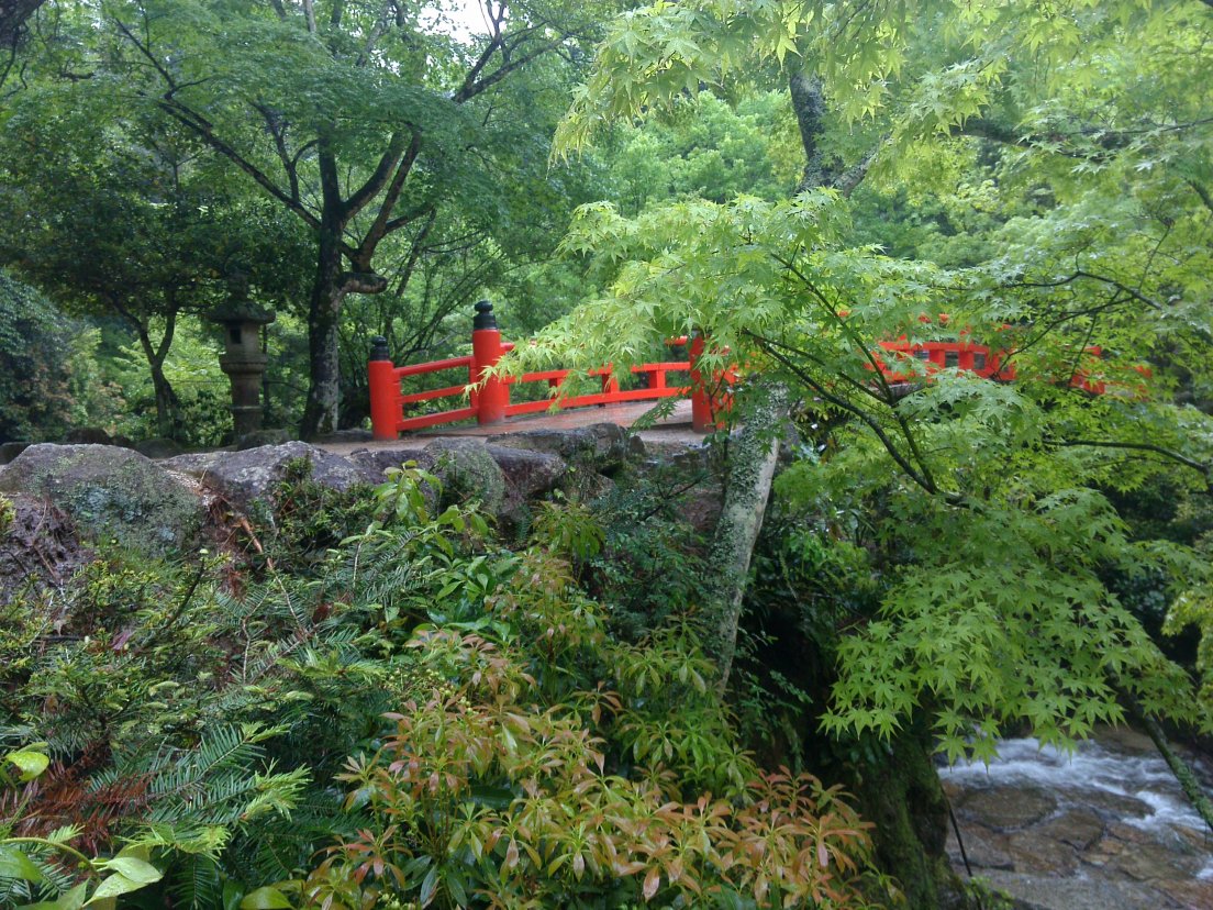 Bashi to mori, Miyajima, 10 may 2016 Bashi to mori