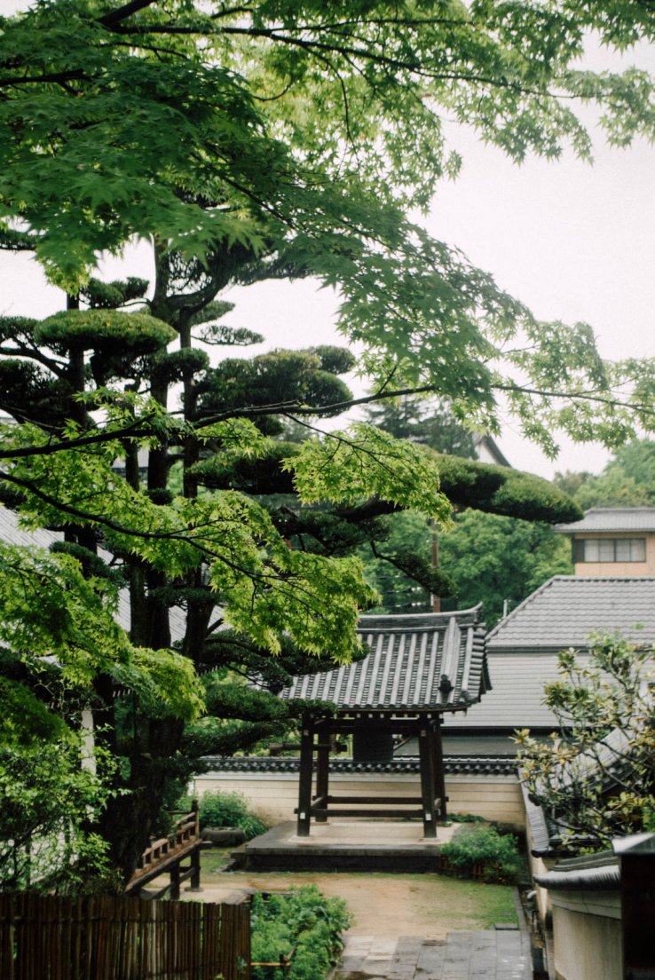 The japanese equivalent of a belvedere, Nara #022, 9 may 2016 The japanese equivalent of a belvedere