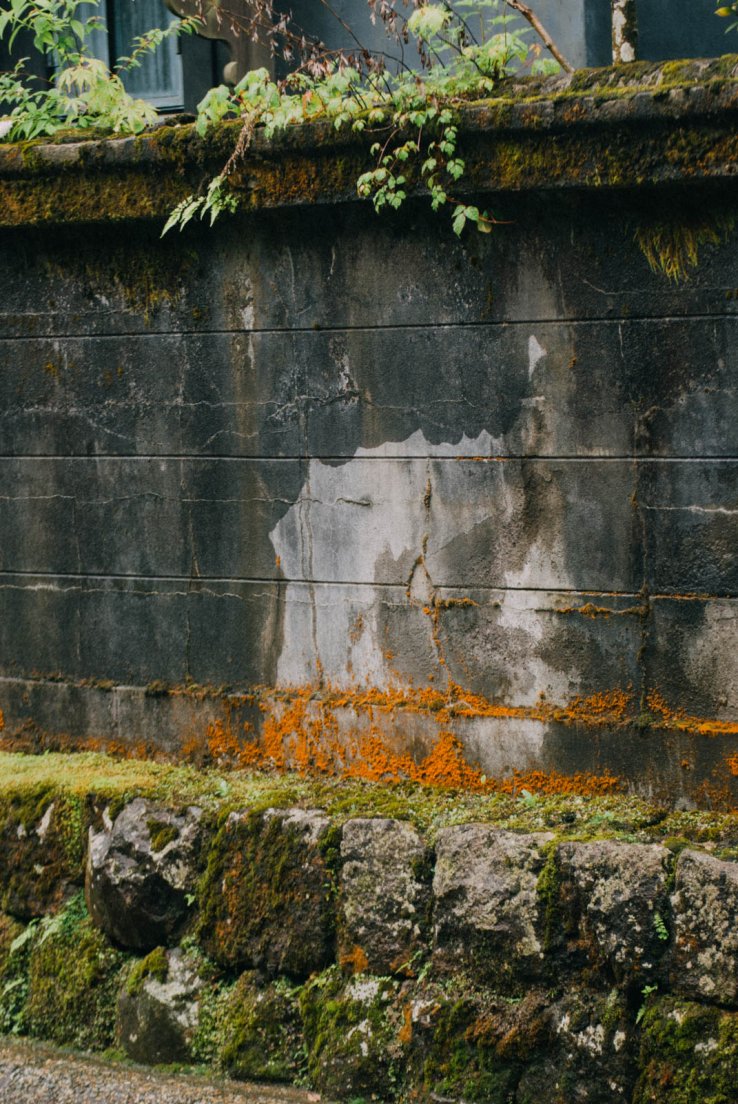 Wall with orange moss, Nikkō #027, 17 may 2016 Wall with orange moss