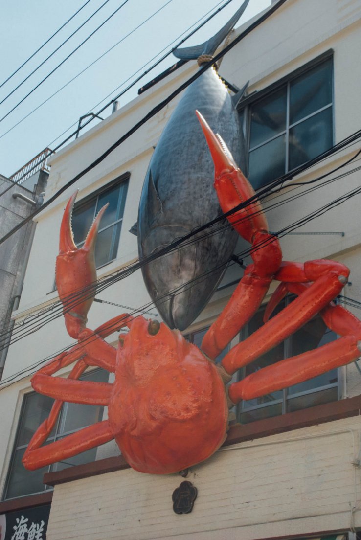 Giant crab animatronic, Tōkyō Tsukiji Shijō (築地市場) #045, 19 may 2016 Giant crab animatronic