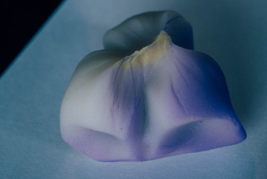 A traditional and seasonal japanese pastry shaped as an iris flower, next to a cup of matcha tea