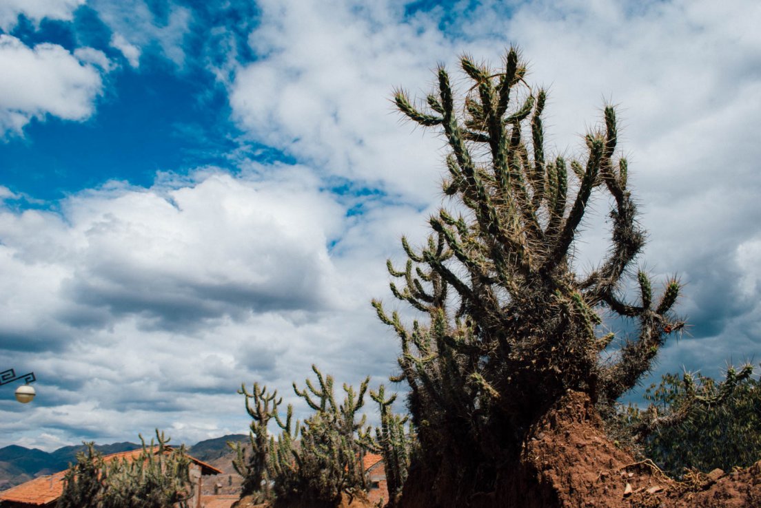 cusco_006.jpg