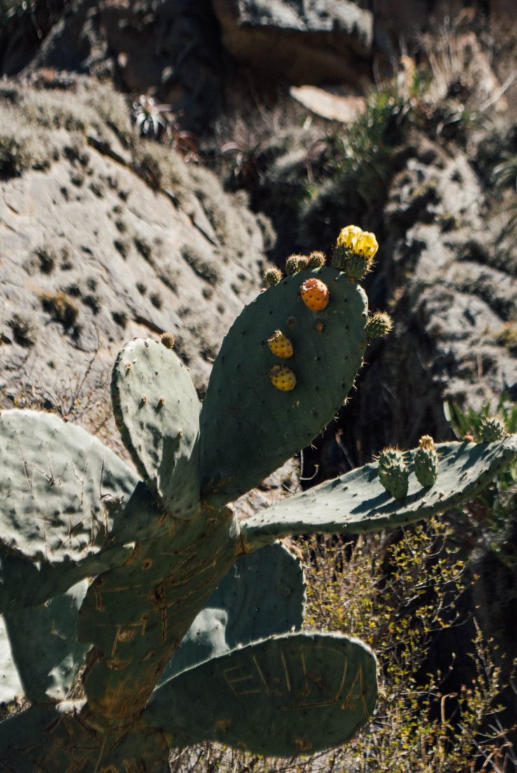 ollantaytambo_068.jpg