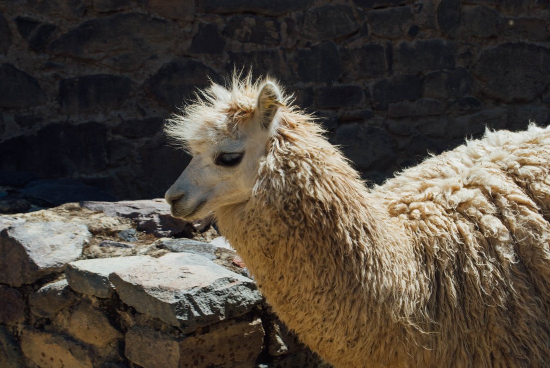 ollantaytambo_112.jpg