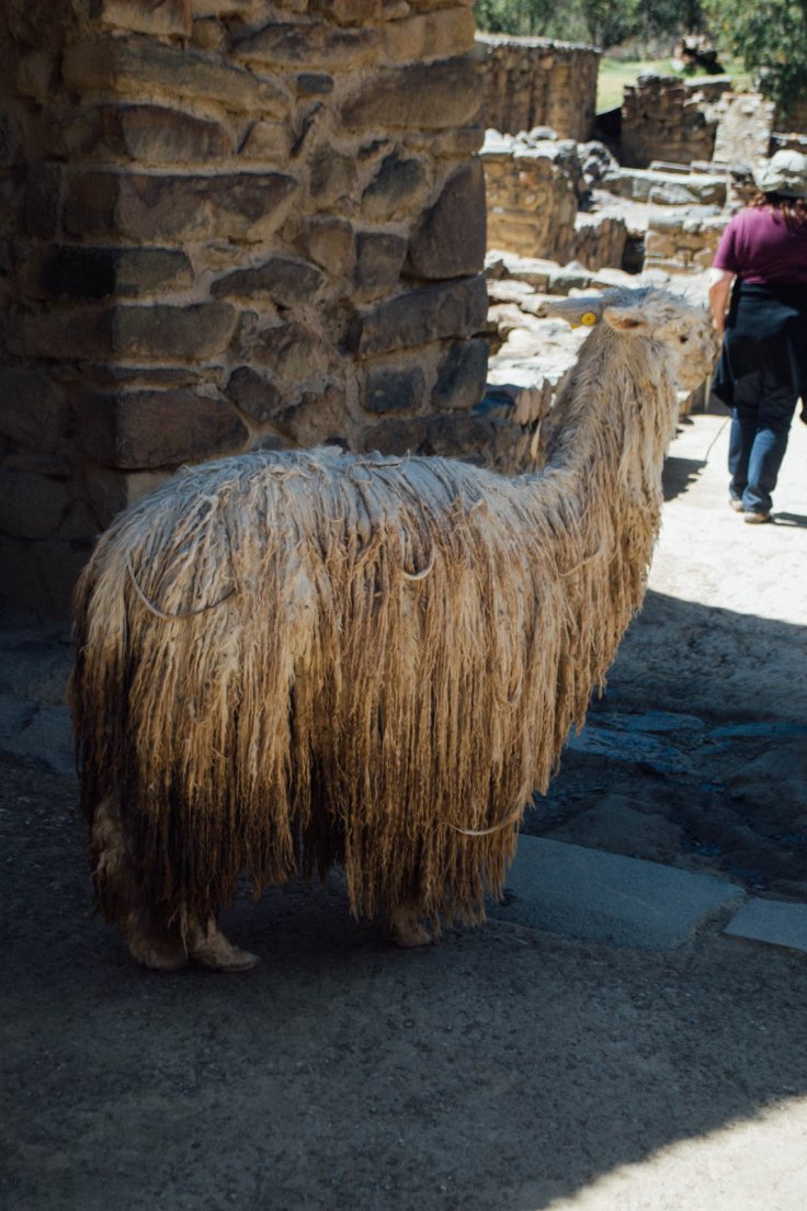 ollantaytambo_117.jpg