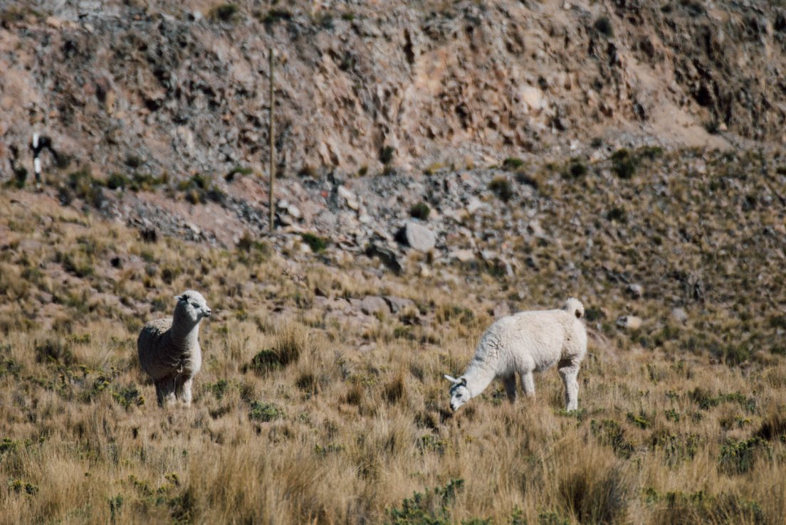 puno-chivay_013.jpg