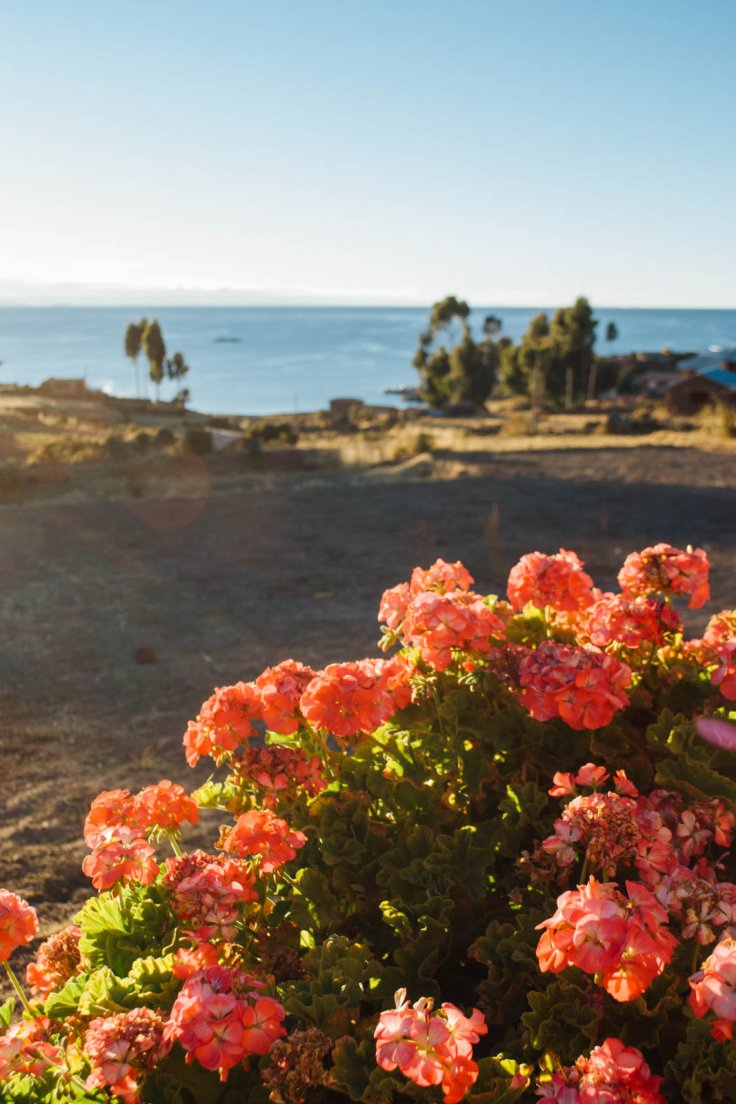 titicaca_079.jpg