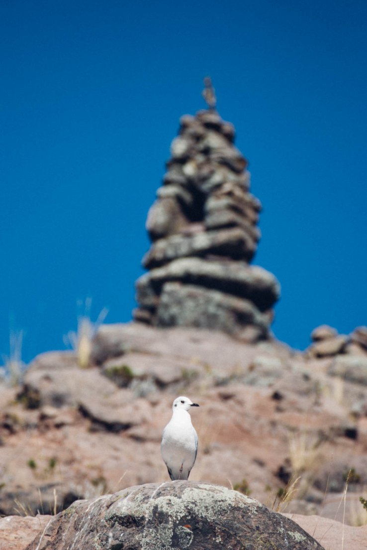 titicaca_093.jpg