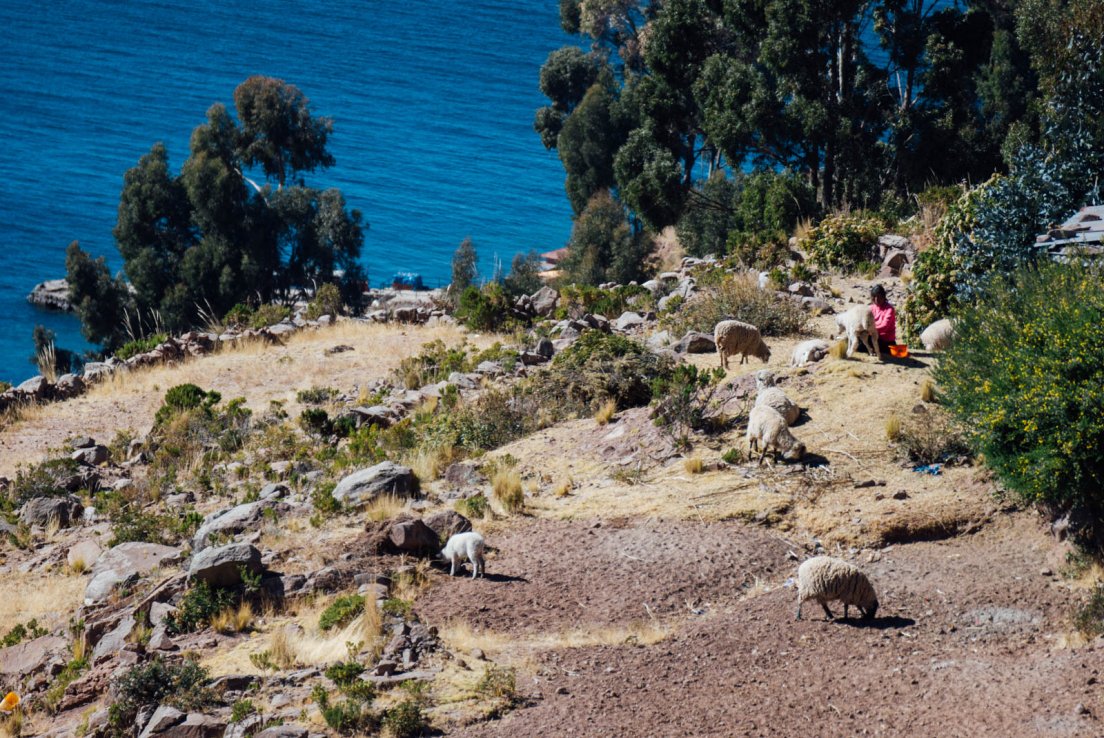 titicaca_099.jpg