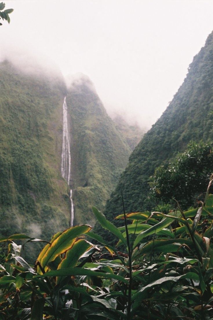 Waterfall and jungle