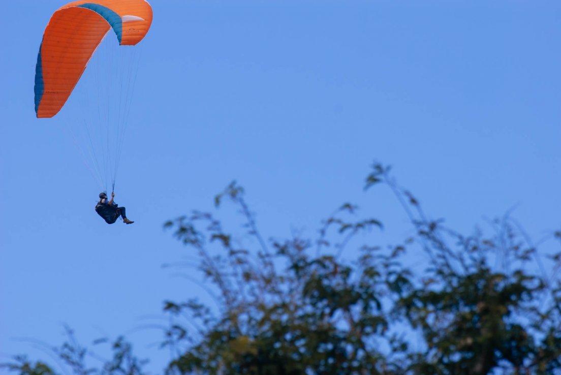 Paraglider above the gardens