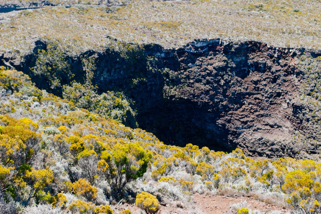 Volcanic sediments and yellow bushes