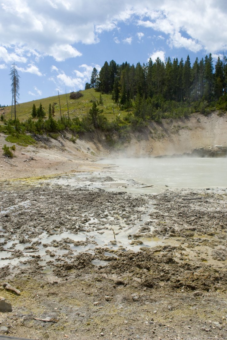 A bubbling mud pot on a sunny day